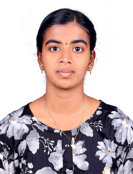Parkkavi